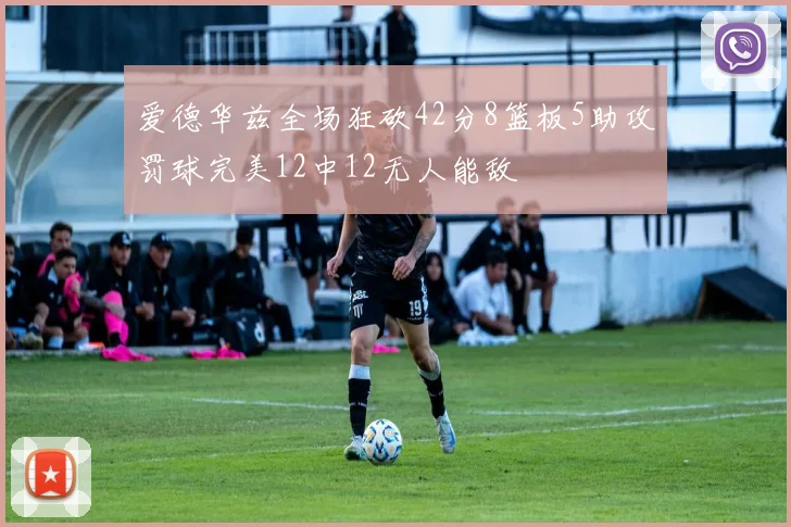 爱德华兹全场狂砍42分8篮板5助攻罚球完美12中12无人能敌